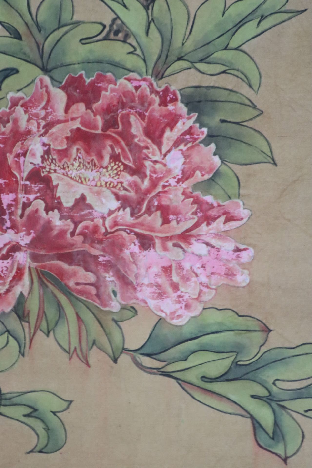 Peonies, ink and colour on paper, Jiang Tingxi (1669-1732) attributed to. - Bild 3 aus 8