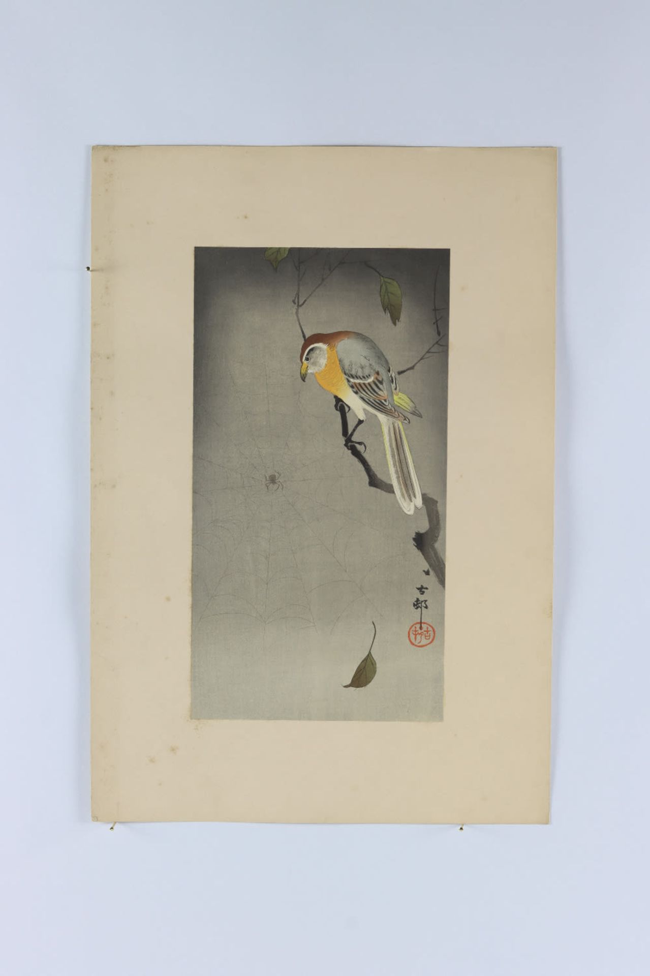 Bull headed shrike looking at spider , Koson Ohara 1877-1945 - Image 2 of 2