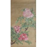 Peonies, ink and colour on paper, Jiang Tingxi (1669-1732) attributed to.