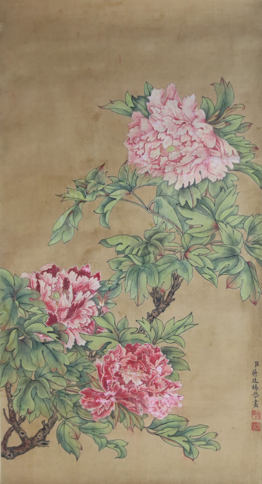 Peonies, ink and colour on paper, Jiang Tingxi (1669-1732) attributed to.