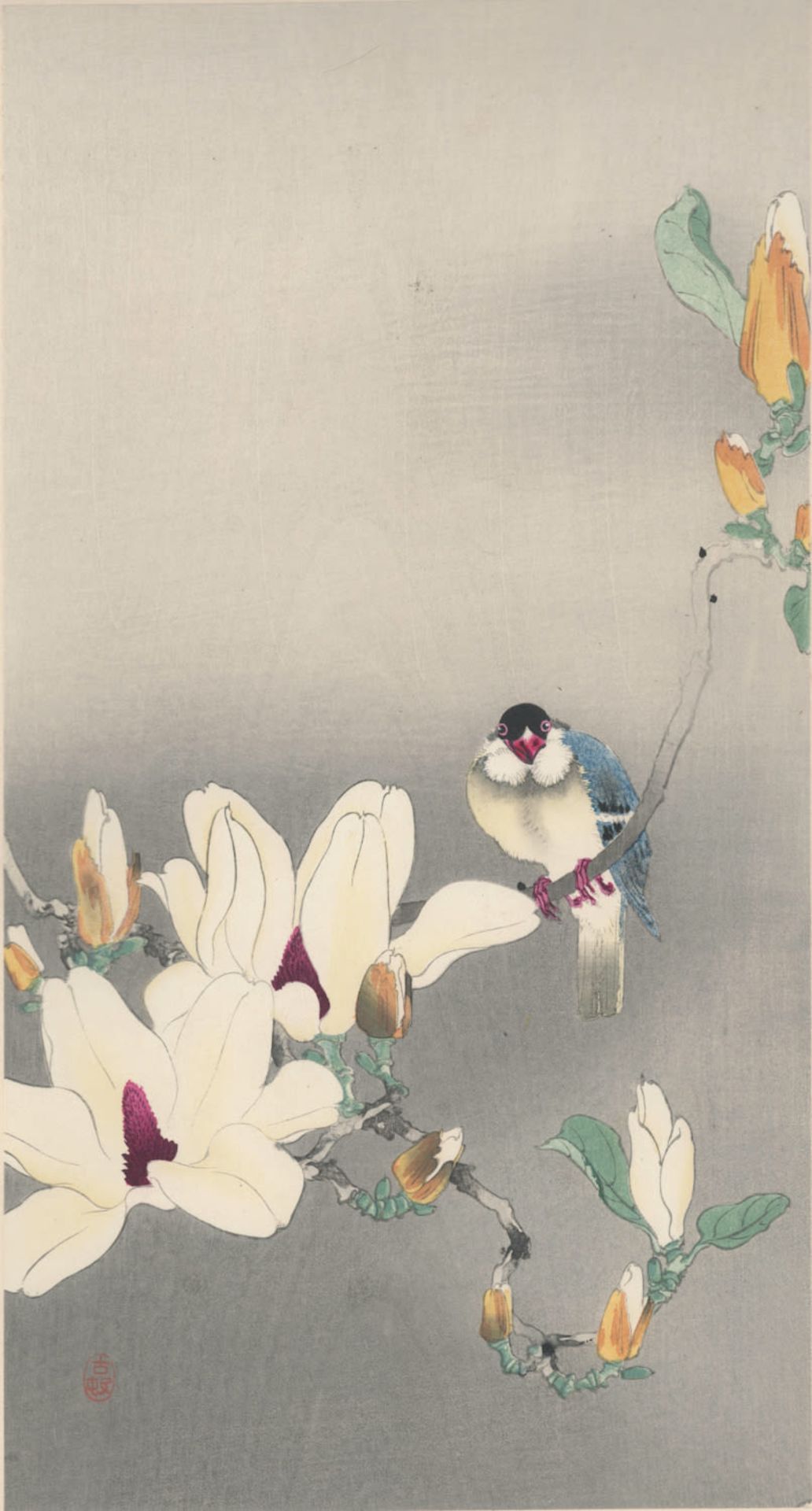 Bluebird on a magnolia branch, Koson Ohara 1877-1945