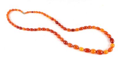 A butterscotch amber graduated bead necklace.