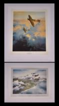 After Robert Taylor - Tangmere Wing - limited edition print numbered 836/850 signed by the artist