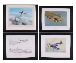 After Robert Taylor - Hurricane - limited edition print signed by the artist and Commander R R
