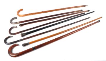 A small collection of walking sticks to include hardwood, Malacca and silver mounted examples (8).