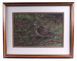 D E Watt (modern British) - Study of a Woodcock - signed & dated '99 lower right, crayon, framed &