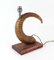 A rams horn converted to a table lamp, on a wooden plinth, 30cm high including fitting.