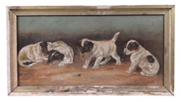 Early 20th century school - Study of Four Jack Russel Puppies - oil on canvas, framed, 40 by 19cms.