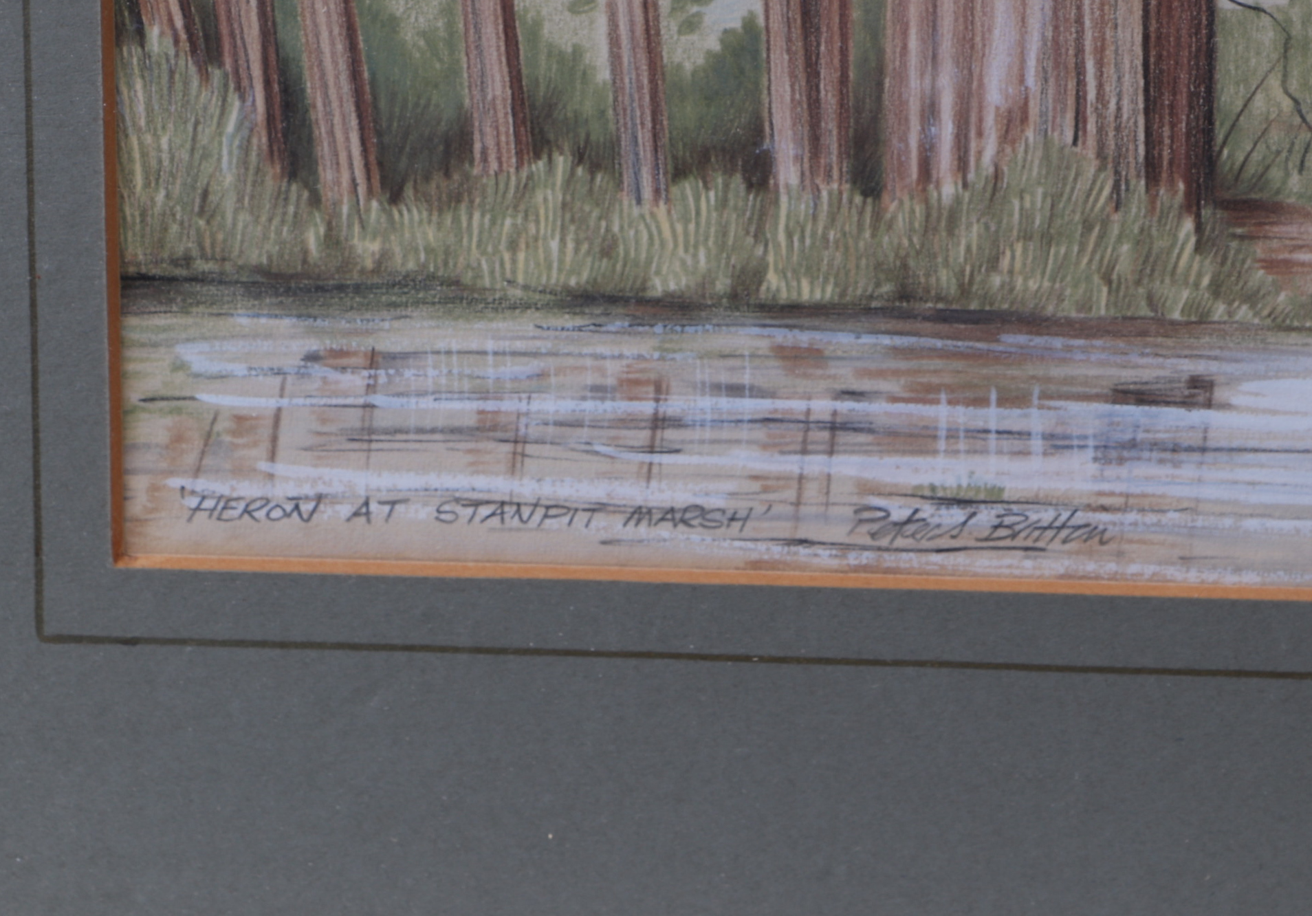 Peter Britton - 'Heron at Stanpit Marsh', signed lower left corner, framed and glazed. 52 by 22cm - Image 3 of 3