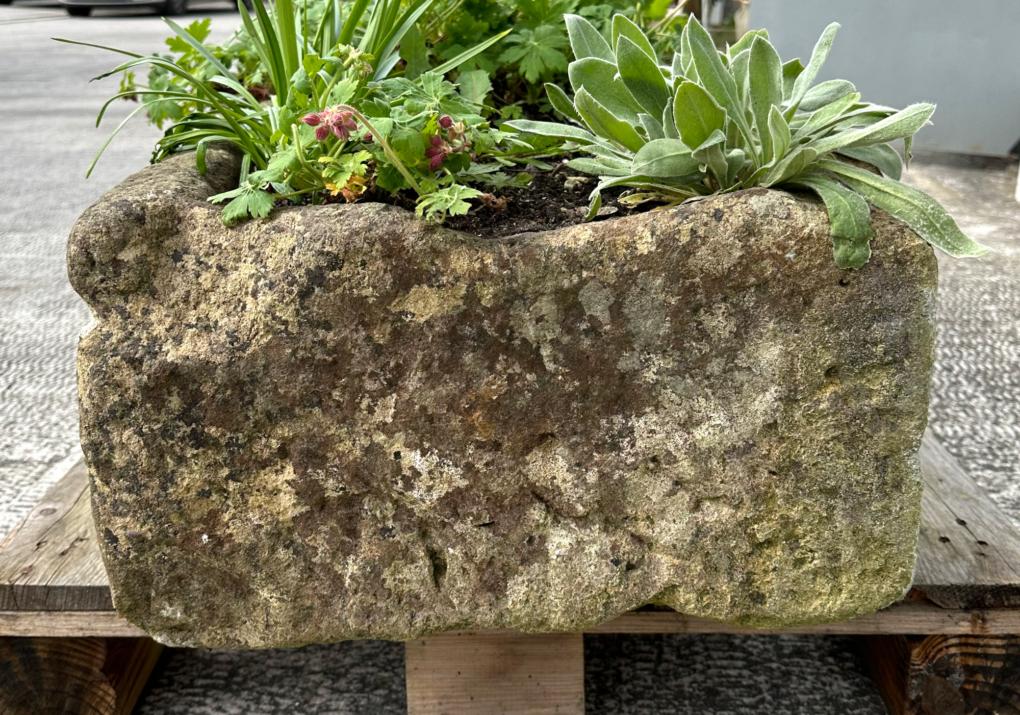 A very large and heavy stone trough planter, 159 by 47 by 30cm high. - Image 3 of 5