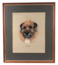 Mary Browning (Modern British), a portrait of a dog, Thomas, pastel, signed and dated 1976, 30 by