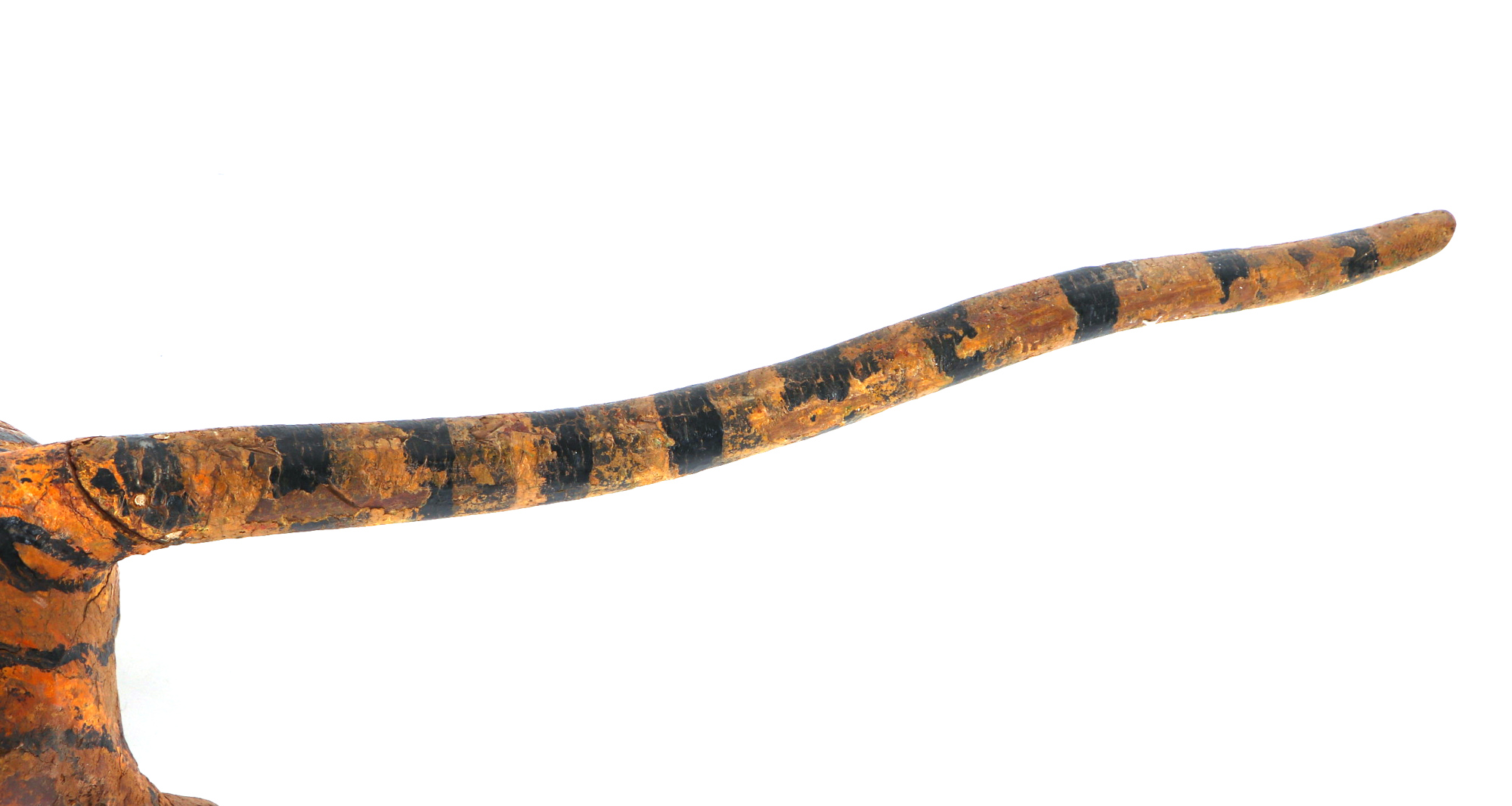 A Burmese carved and painted hardwood tiger (temple guardian), 134cm long. - Image 6 of 7