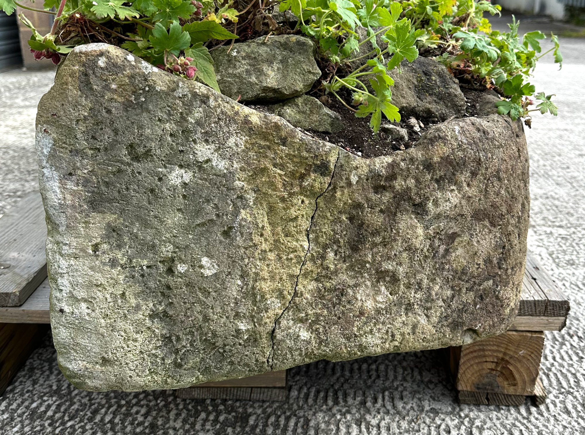 A very large and heavy stone trough planter, 159 by 47 by 30cm high. - Image 4 of 5