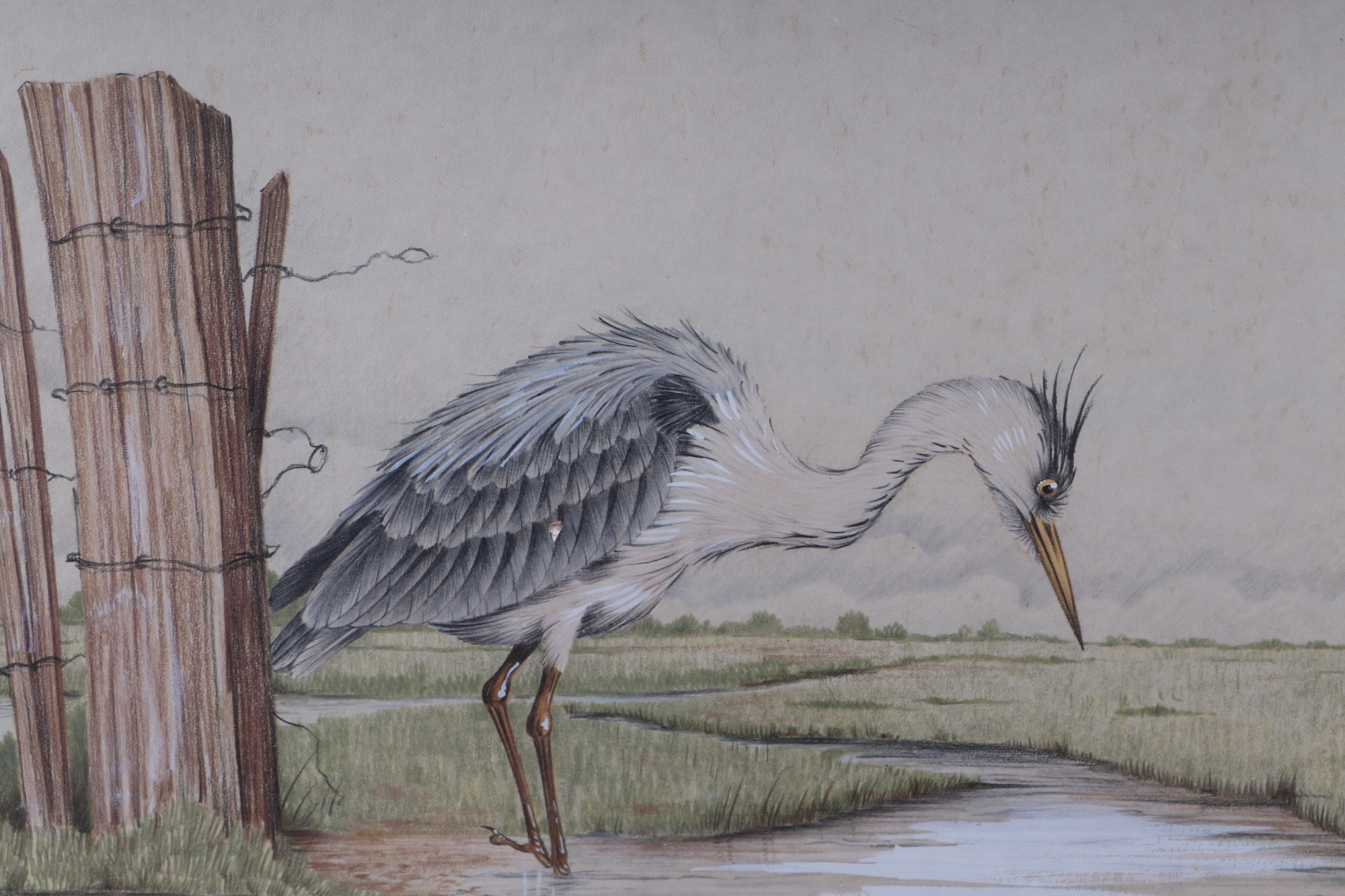 Peter Britton - 'Heron at Stanpit Marsh', signed lower left corner, framed and glazed. 52 by 22cm - Image 2 of 3