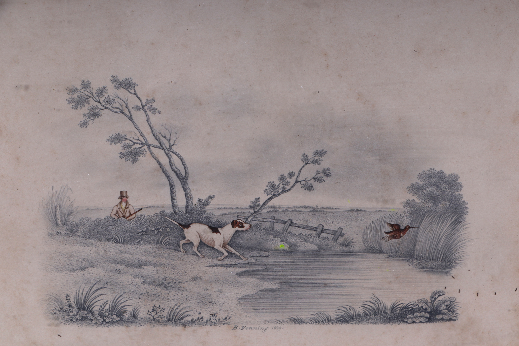 E Fenning (19th Century British School), Hunting interest; a dog flushing a woodcock, watercolour - Image 2 of 2