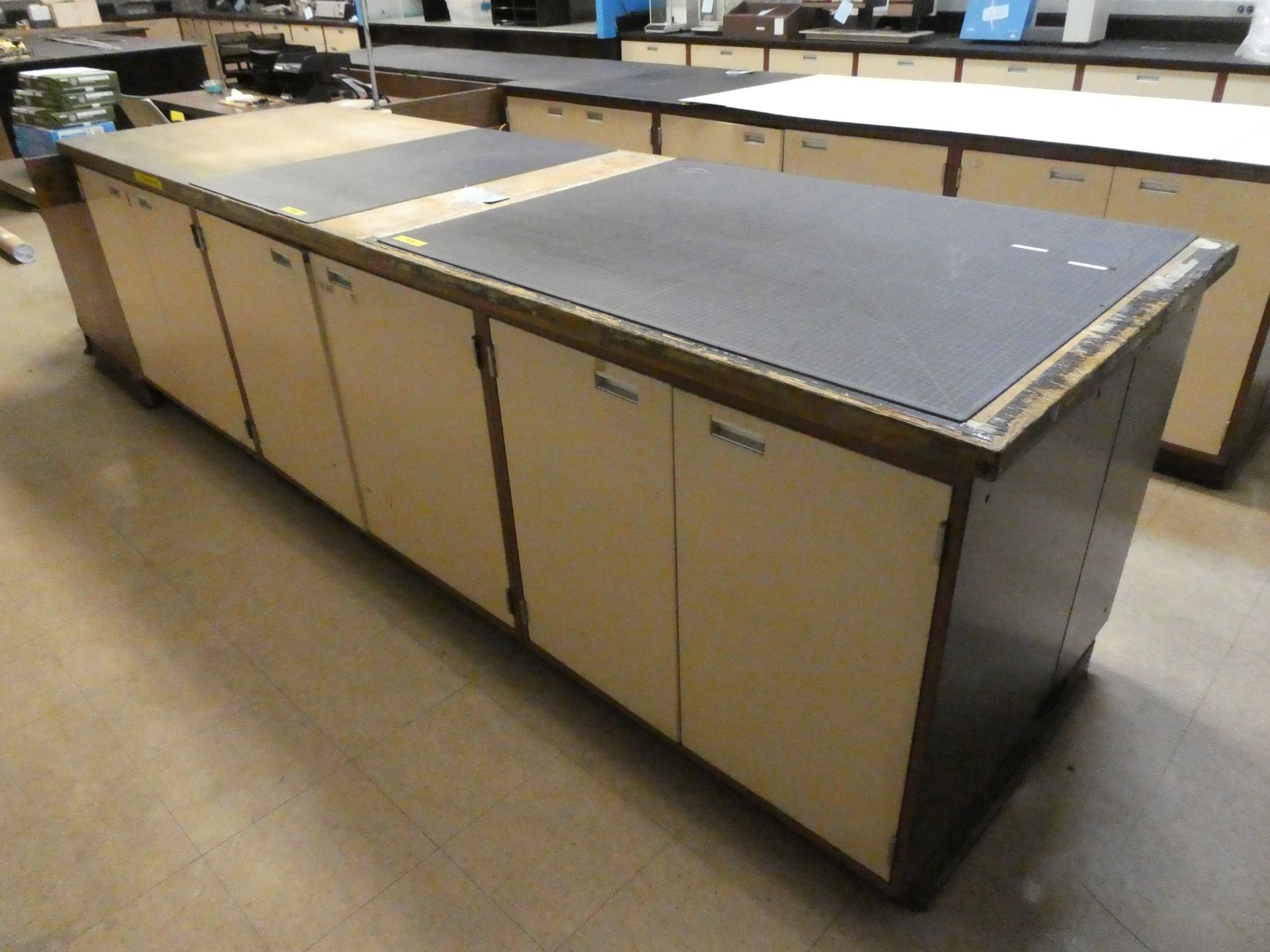 Lab Cabinets w/ Wood Work Surface - Image 2 of 3