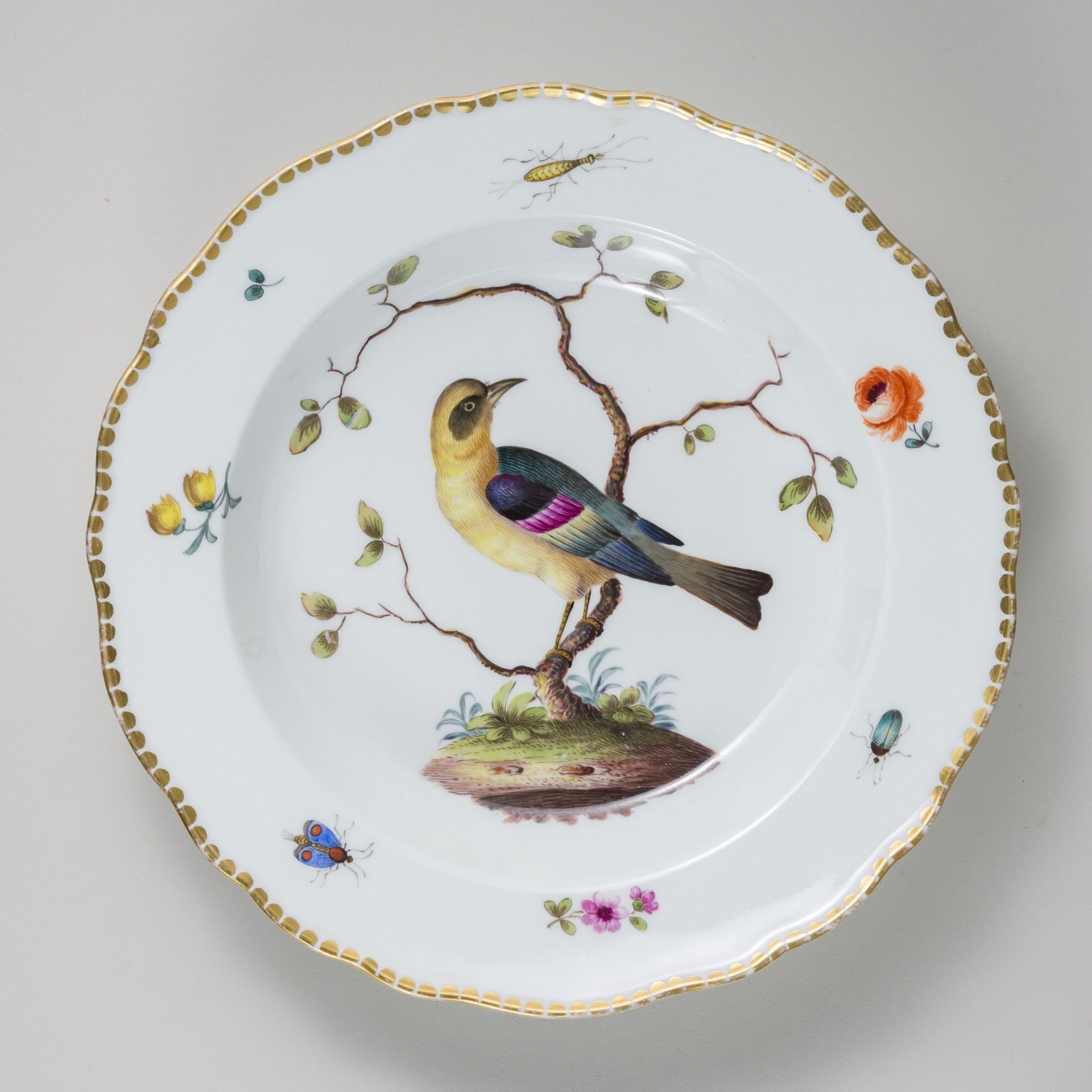 Meissen 6 x Suppenteller Vogelmalerei & Insekten 24 cm Knaufzeit - Bild 4 aus 15