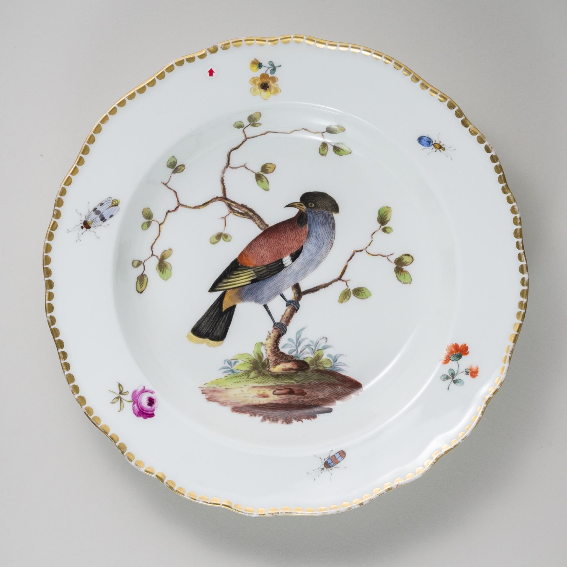 Meissen 6 x Suppenteller Vogelmalerei & Insekten 24 cm Knaufzeit - Bild 12 aus 15
