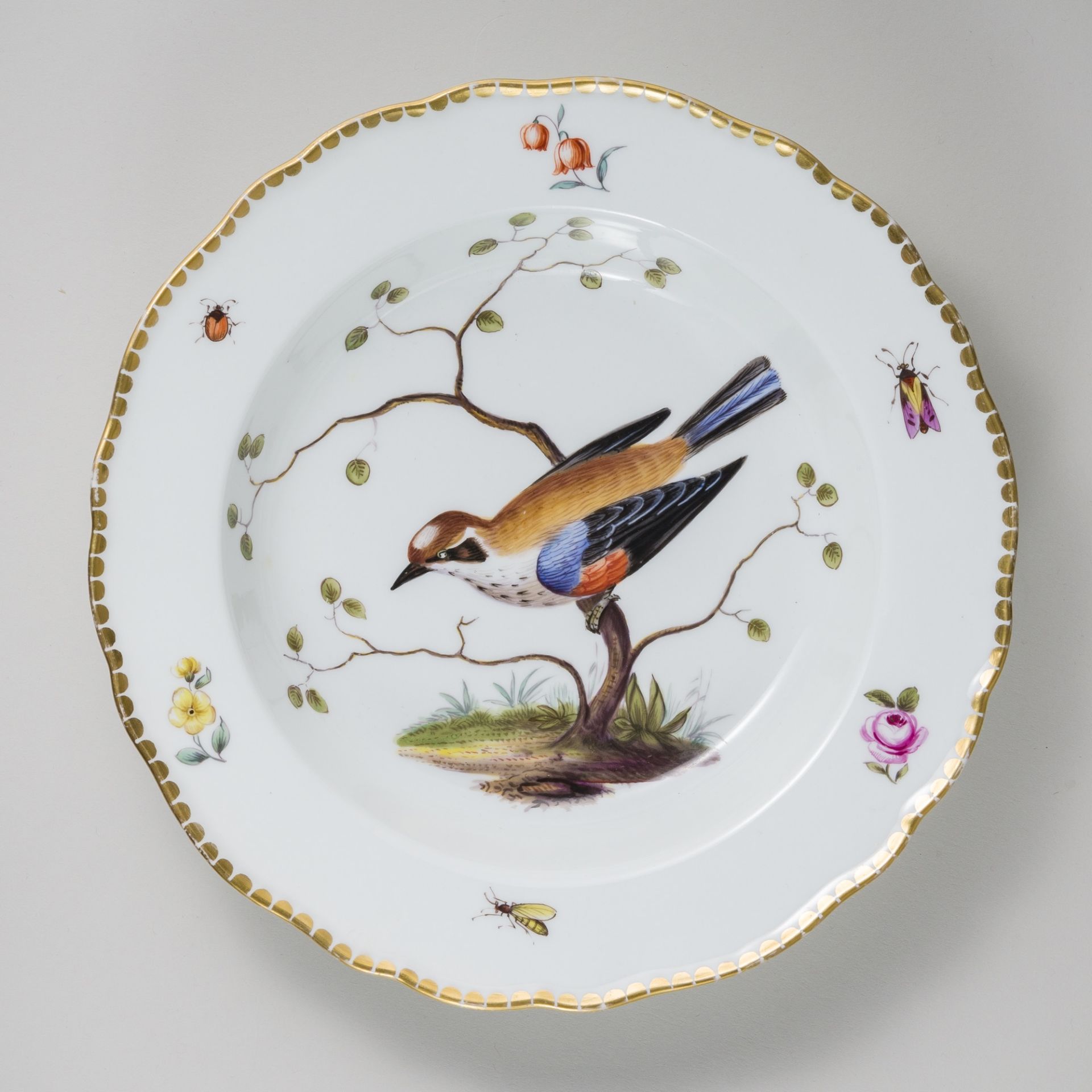 Meissen 6 x Suppenteller Vogelmalerei & Insekten 24 cm Knaufzeit - Bild 8 aus 15