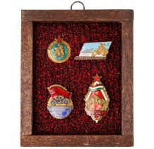 Framed Collection of 4 Badges