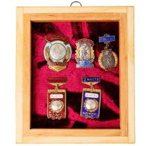 Framed Collection of 5 Badges