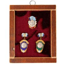 Framed Collection of 3 Badges