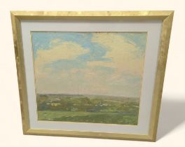 JOHN COLEMAN (20th century) - Extensive landscape,