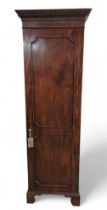A Victorian mahogany veneer single door cupboard,