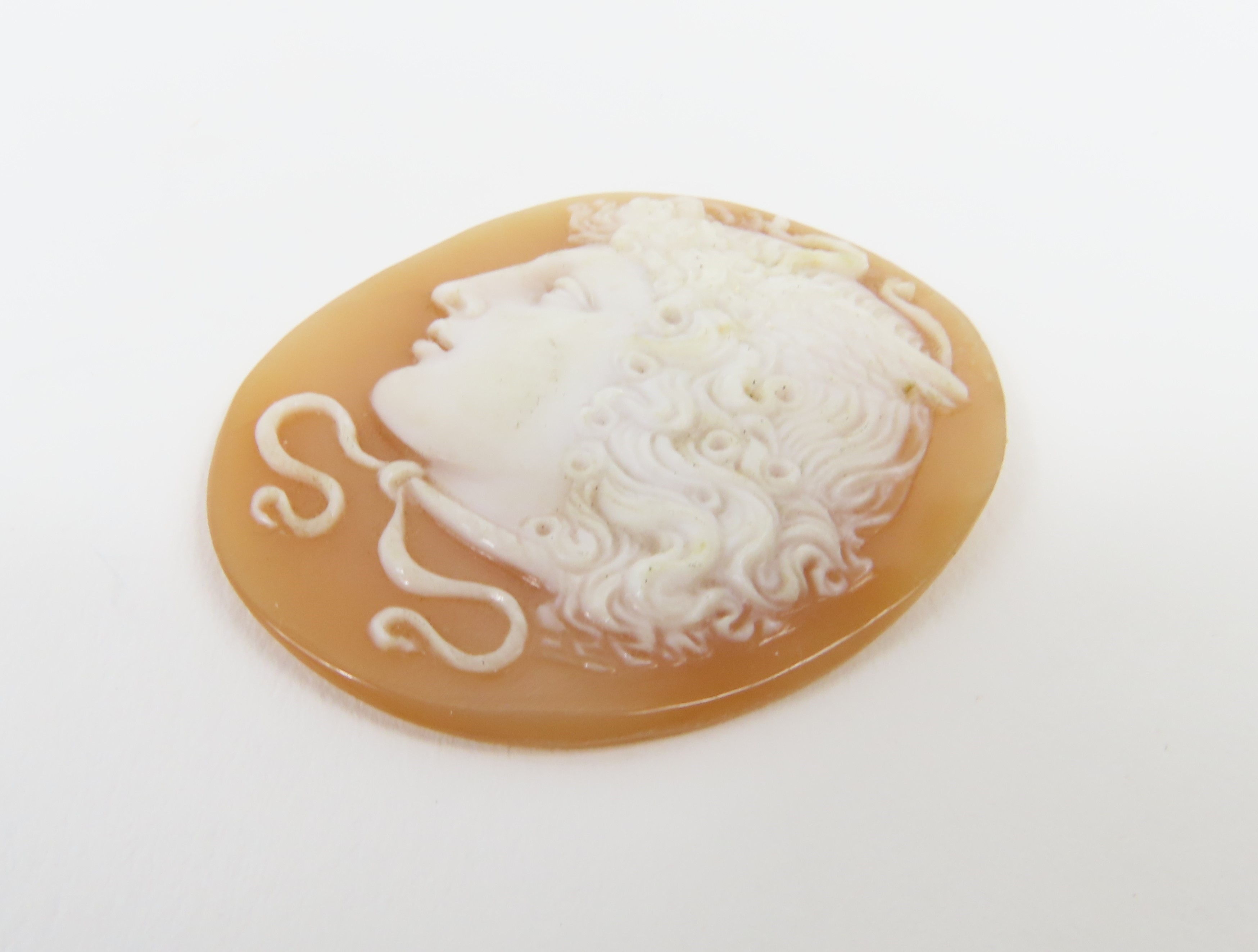 A loose orange shell cameo of Hermes, 3.8cm x 3cm; - Image 7 of 8