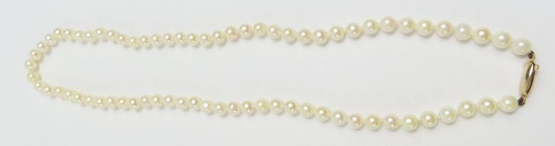 A row of uniform Lotus cultured pearls, knots betw