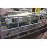 Stewart Systems laning conveyor