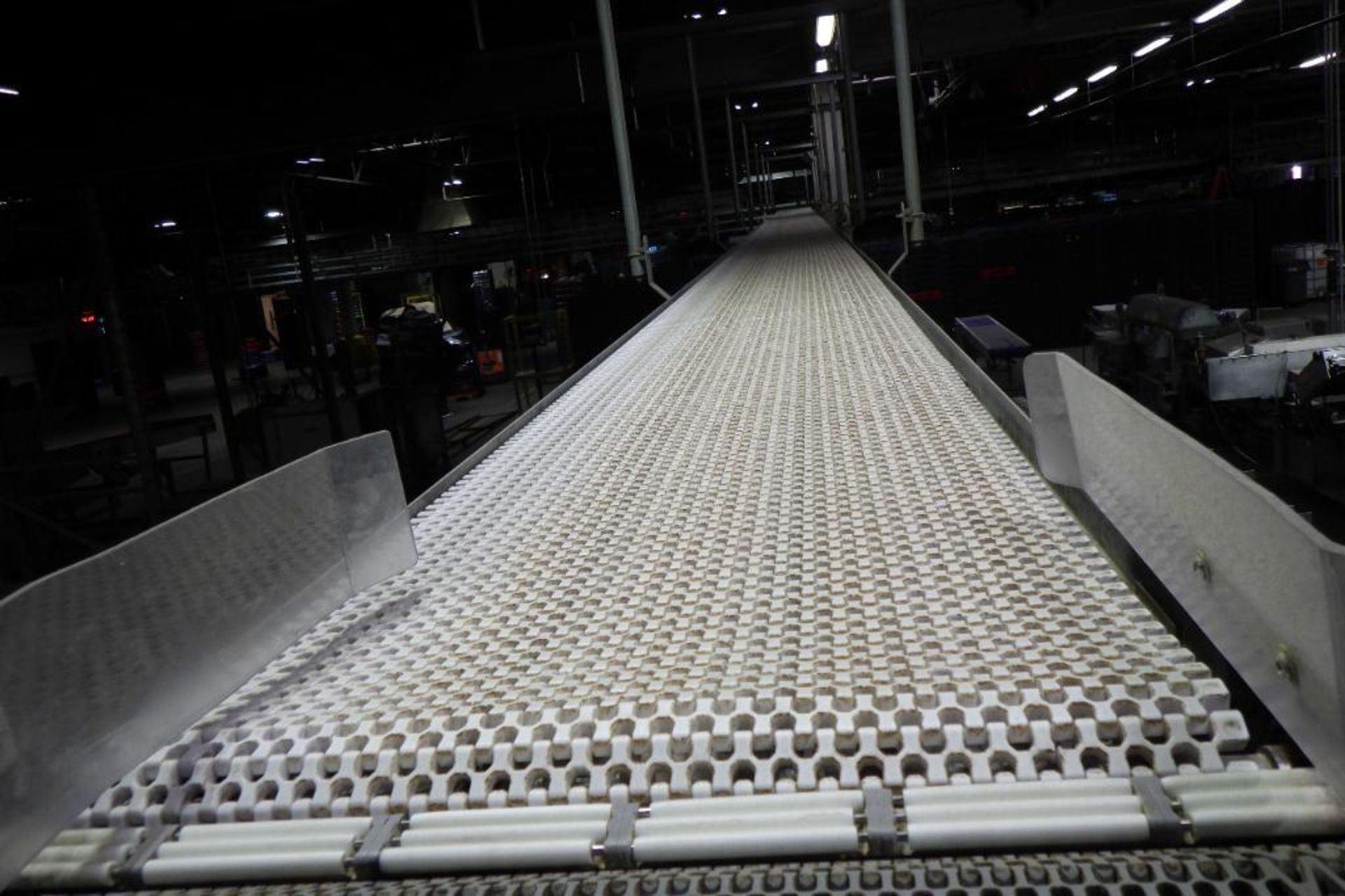Stewarts Systems belt conveyor - Image 2 of 9