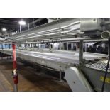 Stewart Systems conveyor