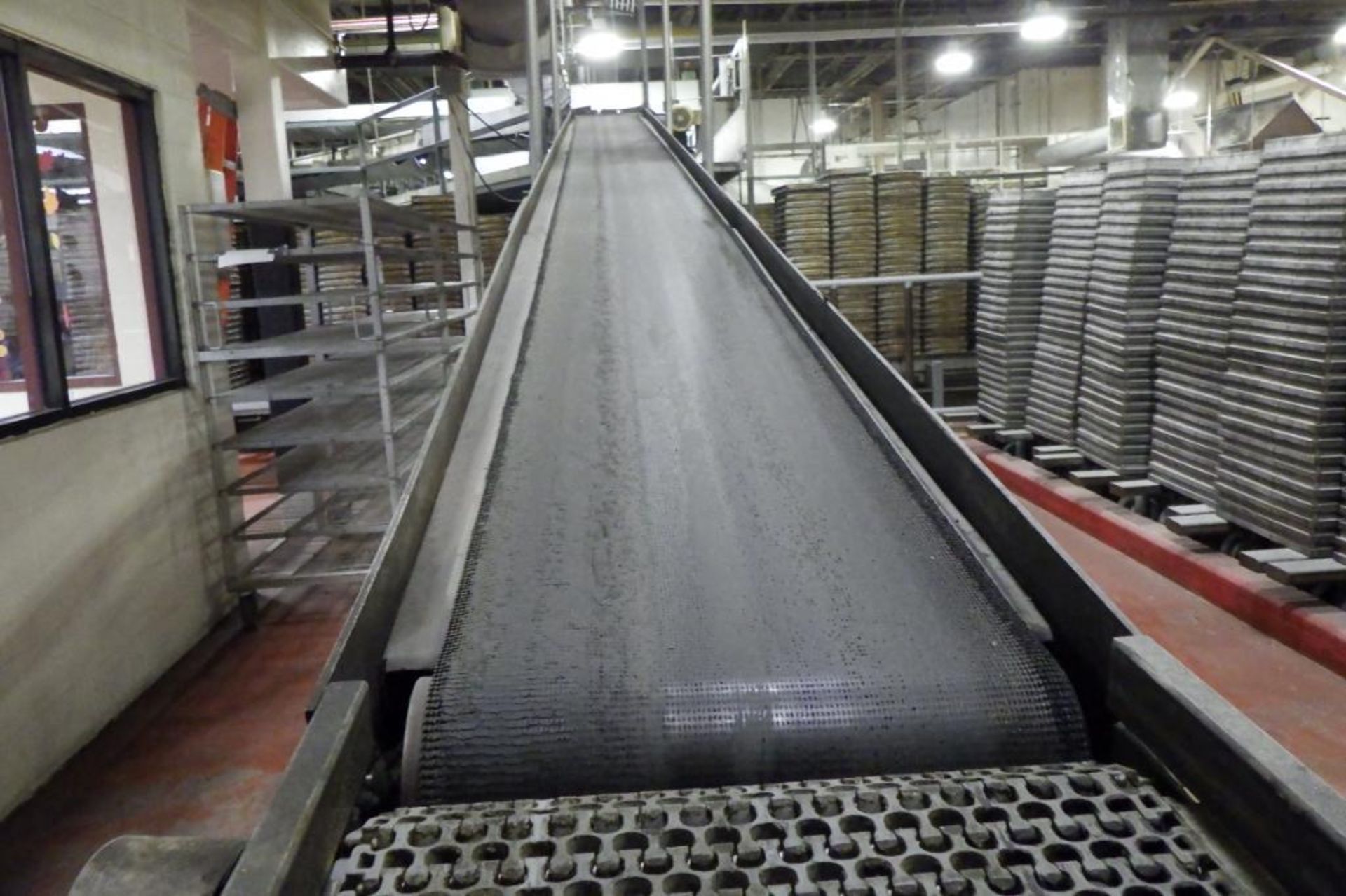 Pulver belt conveyor - Image 2 of 7