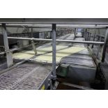 Stewart Systems laning conveyor