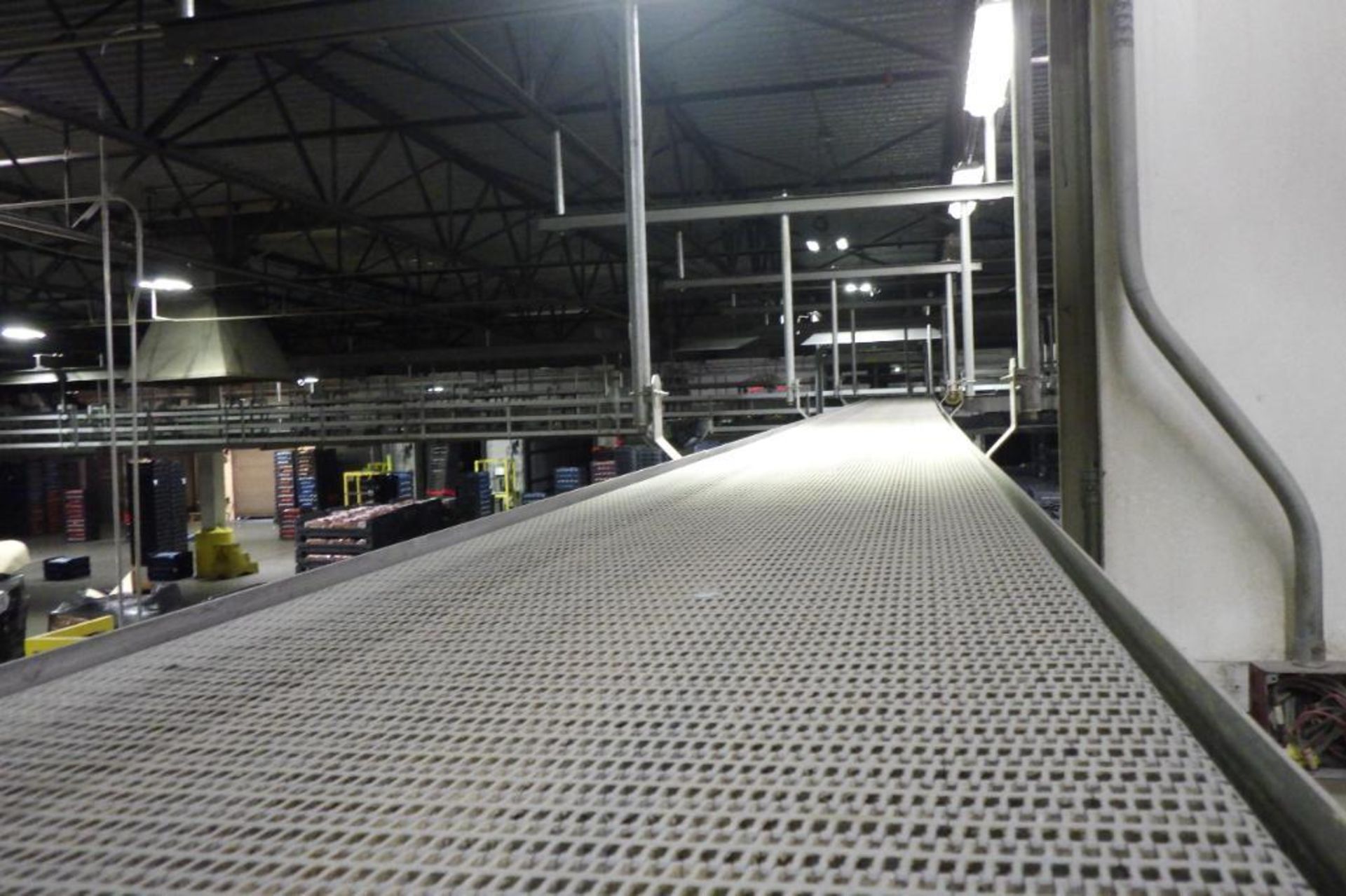 Stewarts Systems belt conveyor - Image 3 of 6