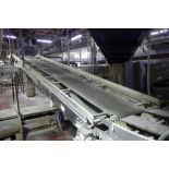 Stewart Systems pan conveyor