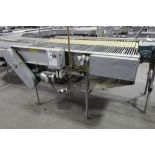 Stewart Systems laning conveyor