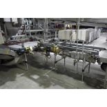 (2) Stewart Systems pan conveyors with right hand discharge