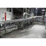 Stewart Systems S turn conveyor