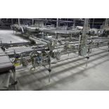 Stewarts Systems pan conveyor