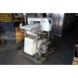 Safeline metal detector with conveyor