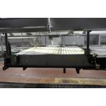 Stewart Systems laning conveyor