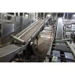 Stewart Systems decline conveyor