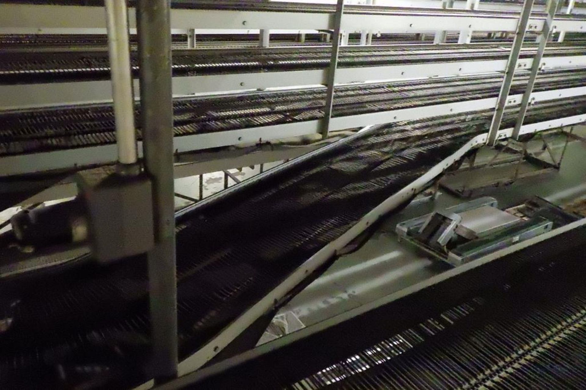 Stewart systems racetrack cooling conveyor - Image 22 of 26