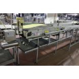 Stewart Systems laning conveyor