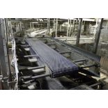 Stewart Systems pan conveyor