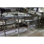 Stewart Systems S conveyor