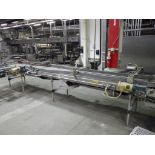 Stewart systems pan conveyor