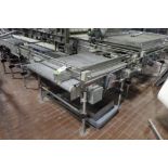 Stewart System conveyor